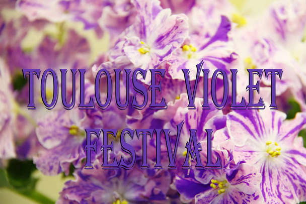 Onnittelut Toulouse Violet festivaalin tekstistä, joka pidetään Ranskassa helmikuussa
. - Valokuva, kuva