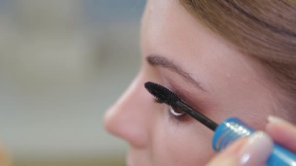 Professionele make-up kunstenaar schildert wimpers aan een klant. - Video
