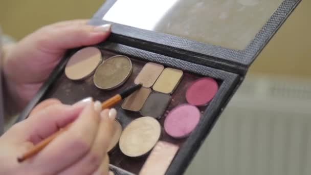 Professionele make-up kunstenaar borstelt verf uit een kleurenpalet. - Video