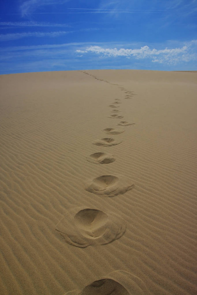 desert surface, dune landscape - Φωτογραφία, εικόνα
