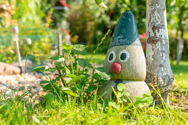 decorative garden gnome in a house garden - Photo, Image