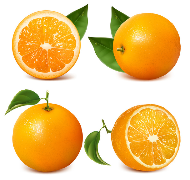 oranges with leaves. - Вектор,изображение