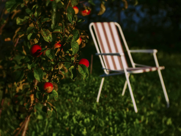складной стул в саду летом, Россия
 - Фото, изображение