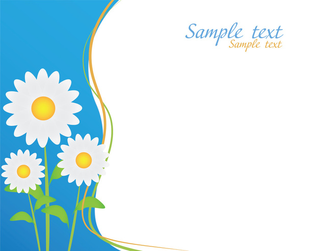 Card with daisies - Вектор,изображение