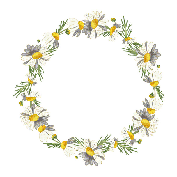 Beautiful wreath of field daisies on a white background. Pharmacy medicinal chamomile with leaves. Realistic style. Spring pattern. Rustic decor. - Foto, Imagen