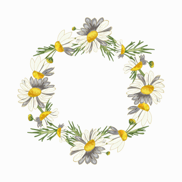 Lush, thick, beautiful wreath of field daisies on a white background. Pharmacy medicinal chamomile with leaves. Realistic style. Spring pattern. Rustic decor. - Zdjęcie, obraz