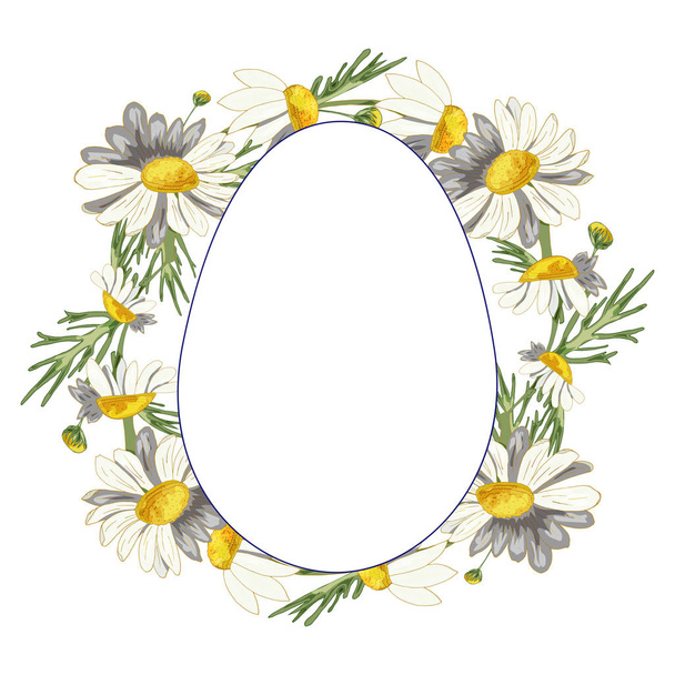 A lush, thick, beautiful wreath of field daisies on a white background with a plate in the form of an egg with a fringing aqua menthe. Pharmacy medicinal chamomile with leaves. Realistic style.  - Photo, Image