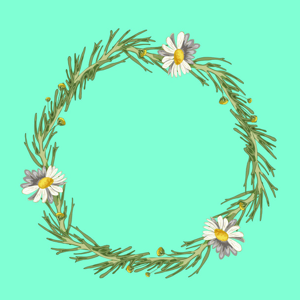 Beautiful wreath of field daisies with leaves on a aqua menthe background. Pharmacy medicinal chamomile. Realistic style. Spring pattern. Rustic decor. - Photo, image