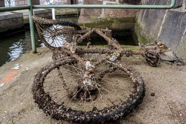 Oude fiets verroeste afbeelding - Foto, afbeelding