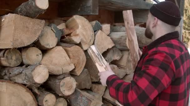  Brutale houthakker zet een gevelde boom in een opslagplaats - Video