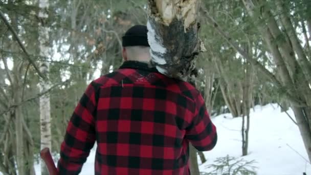  Vahşi oduncu kış ormanlarında yürüyor. - Video, Çekim