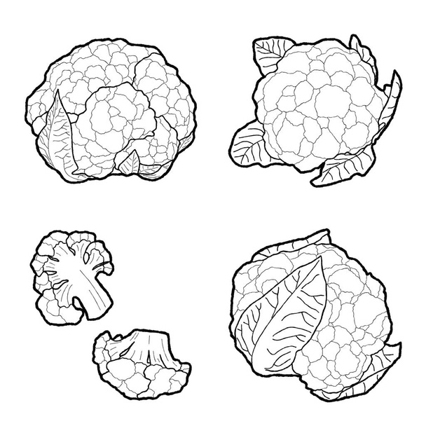 Illustration vectorielle du chou-fleur Dessiné à la main Légumes Dessin animé Art
 - Vecteur, image