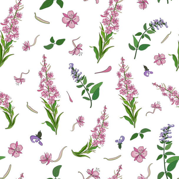 Seamless pattern with pink blooming sally flowers and basil flowers. - Вектор, зображення