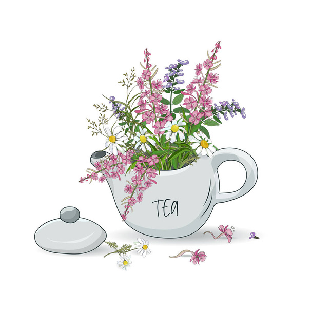 Kettle with a bouquet of wildflowers daisies, fireweed, oregano. Healthy herbal tea - Διάνυσμα, εικόνα