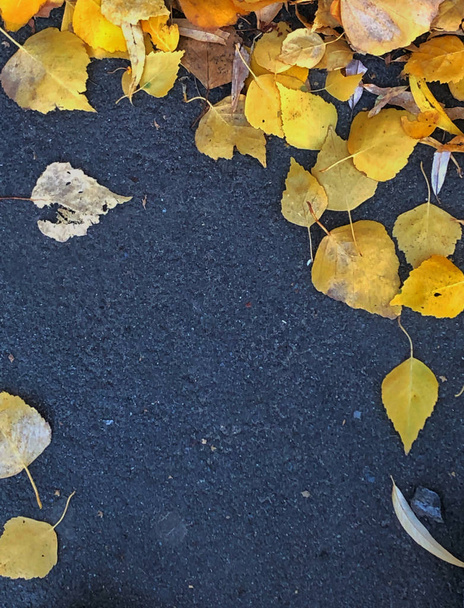 Фон жовте осіннє листя на тротуарі
 - Фото, зображення
