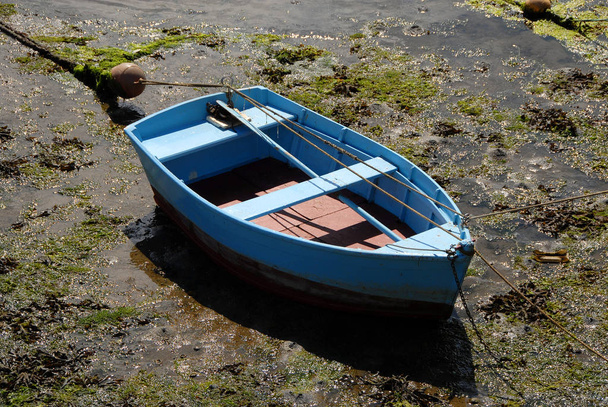 rowing boat in concarneau - Фото, изображение