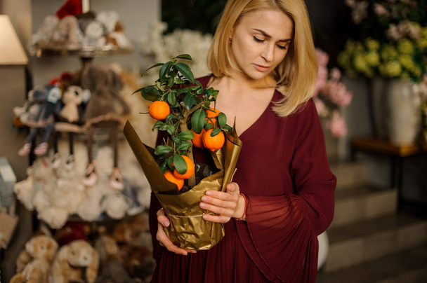 Beautiful girl with tangerine tree in pot - 写真・画像