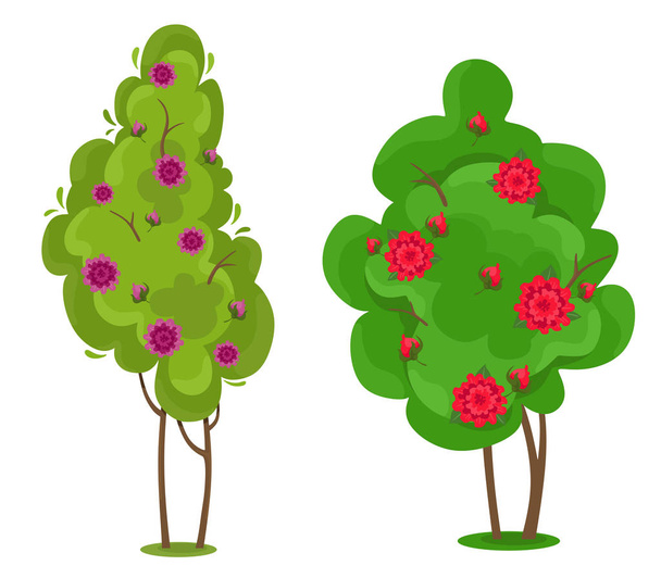 Coffret Camellia Arbuste. Isolats vectoriels en style plat dessin animé. Fond blanc
. - Vecteur, image