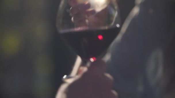 couple grabbing and drinking a glass of wine sunset time france - Video, Çekim