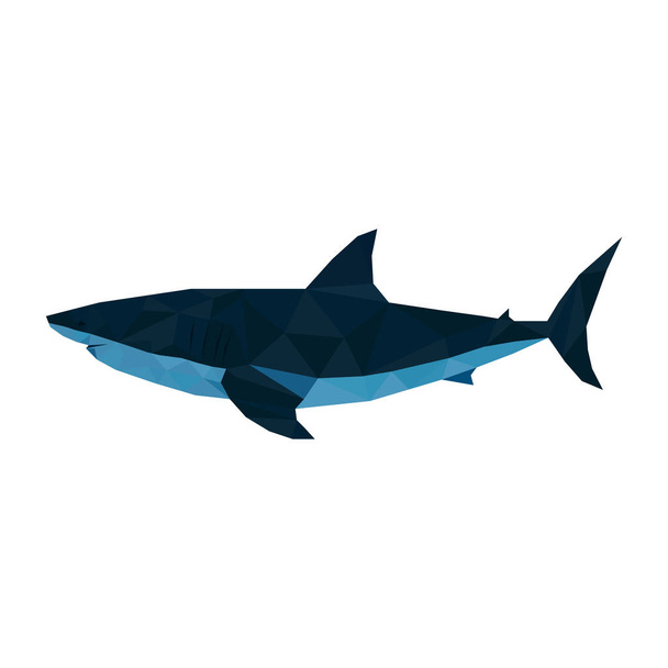 Köpekbalığı çizimi düşük polyester logo tasarımı. Vektör illüstrasyonu, - Vektör, Görsel