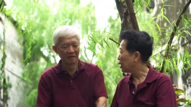 Parlando asiatico anziano coppia seduta in parco sotto verde salice
 - Filmati, video
