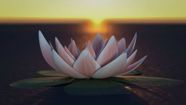 神秘的な蓮の花 (3 d レンダリング) - 写真・画像