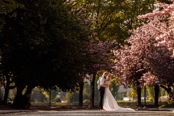 Happy bridegroom hugging bride in spring blossoming sakura park. Newly wedded couple in the park. Just married. Walk in the park and hug. Newlyweds having fun. rustic wedding. - 写真・画像