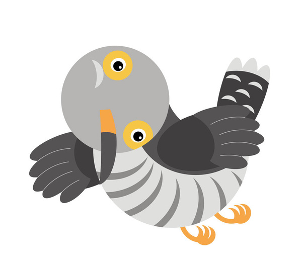Cartoon cuckoo colorful bird on white background - illustration - Фото, изображение