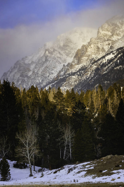Näkymä vuorille Horseshoe Park Rocky Mountain
  - Valokuva, kuva