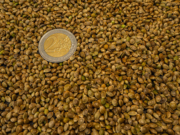 konopná semena nebo semena marihuany - Fotografie, Obrázek