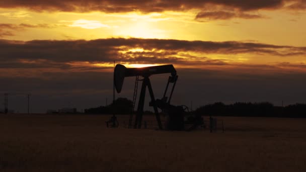 Pumpjack. Oil well.Silhouette of an oil pump jack on the rig as the sun sets in the background. An oil pump jack in the middle of the wheat field with the beautiful sunset sky. - Footage, Video