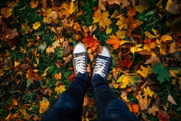 Teenage legs in sneakers on ground with autumn leaves - Foto, imagen