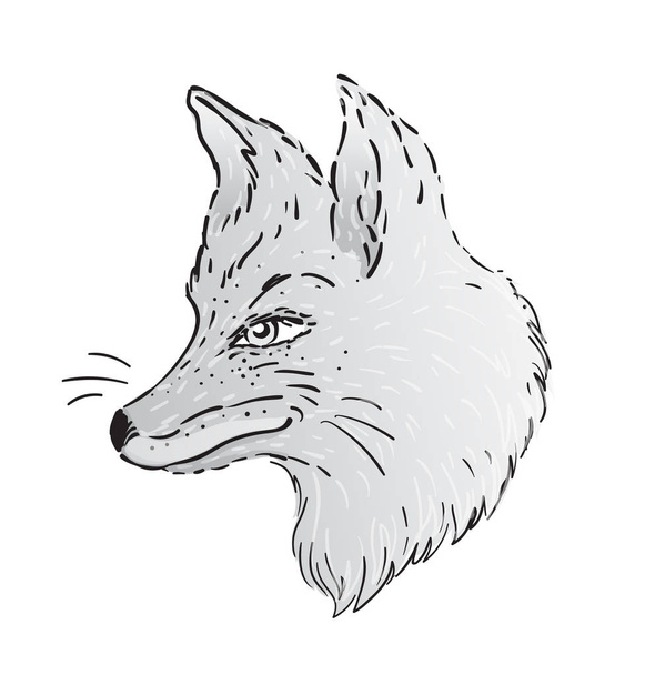 Cute fox face. Profile view. Character tattoo design for pet lovers, artwork for print, textiles. Isolated realistic hand drawn vector illustration. - Vector, Image
