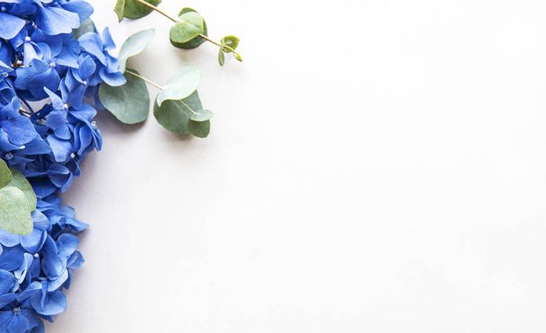 Blue hydrangea flowers - Foto, afbeelding
