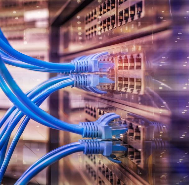Серверная стойка с голубым и красным кабелями подключения к интернету
 - Фото, изображение