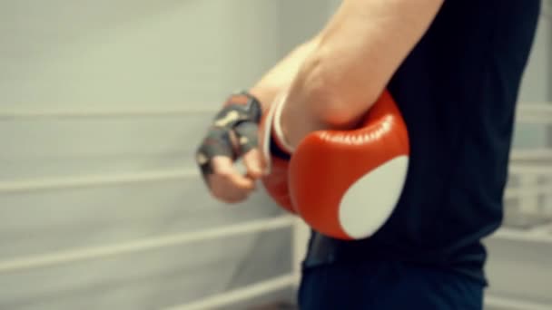 professional boxer is putting boxers gloves on his hands preparing to sparing with rival boxers prepares to fight on the ringside professional sport concept - Footage, Video
