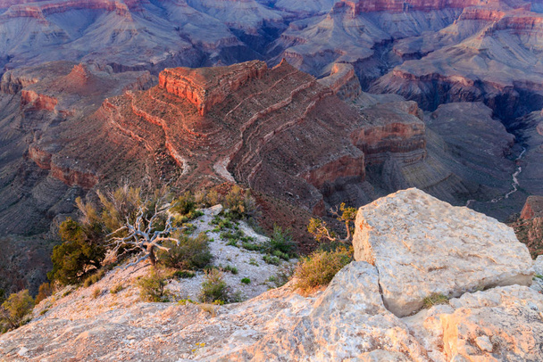 Pohled na Grand Canyon z Grandview. Skalní římsa vpravo; křoví, trojúhelníková skalní formace dole.  - Fotografie, Obrázek