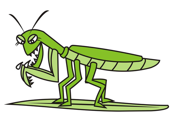 praying mantis, humorous vector illustration - Vector, Image