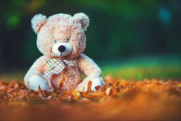 Teddy beer baby speelgoed zitten in gevallen kleurrijke bladeren buiten - Foto, afbeelding