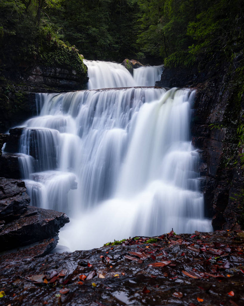 Tekoucí vodopád v Národním parku Kolébka hory Tasmánie - Fotografie, Obrázek