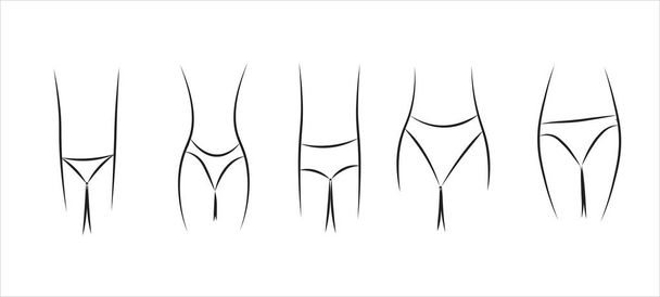 Різні види жіночих трусів
 - Вектор, зображення