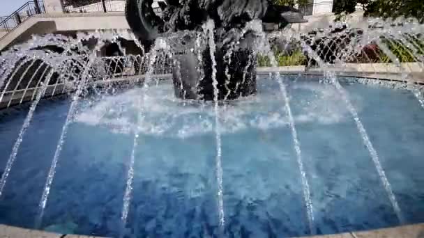 Fontanna i okrągły basen w parku - Materiał filmowy, wideo
