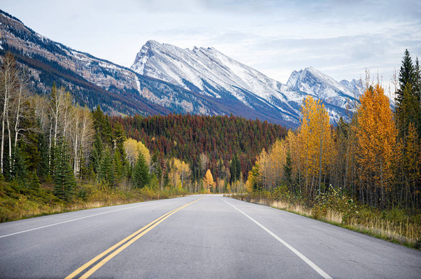 Road trip on highway with rocky mountains in autumn forest at Ba - Фото, изображение
