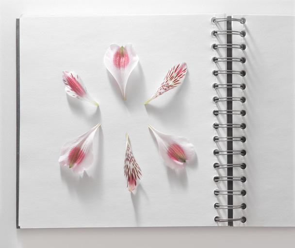 Notizbuch mit Blumen - Foto, Bild