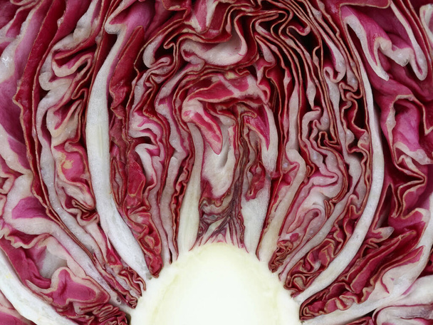 textura krájeného salátu z červené čekanky, organické přírodní pozadí - Fotografie, Obrázek