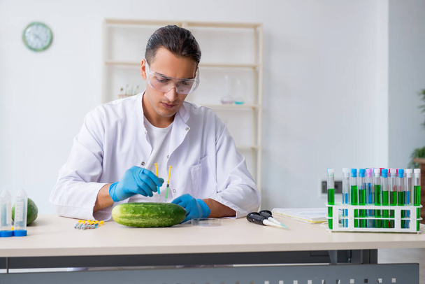 Ειδικός στη διατροφή των ανδρών που δοκιμάζει λαχανικά στο εργαστήριο - Φωτογραφία, εικόνα