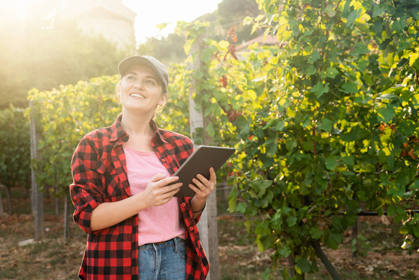A woman farmer examines the vineyard and sends data to the cloud from the tablet. Smart farming and digital agriculture. - Foto, imagen