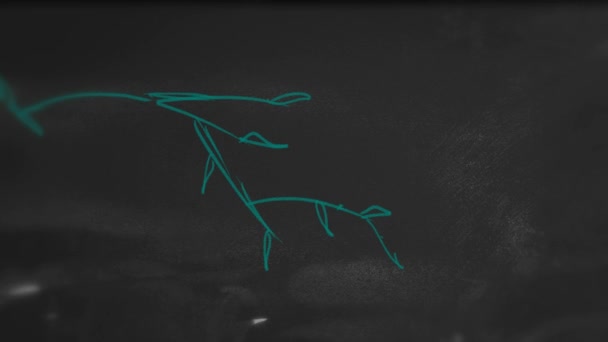 Ecosistema Chalk Animazione sulla lavagna
 - Filmati, video