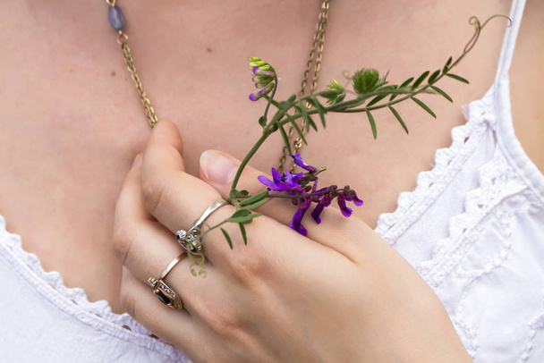 Рука девушки с кольцами прижимает фиолетовый цветок Vicia hirsuta к груди
 - Фото, изображение