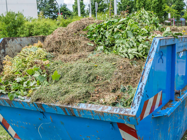 Травяной контейнер в саду
 - Фото, изображение